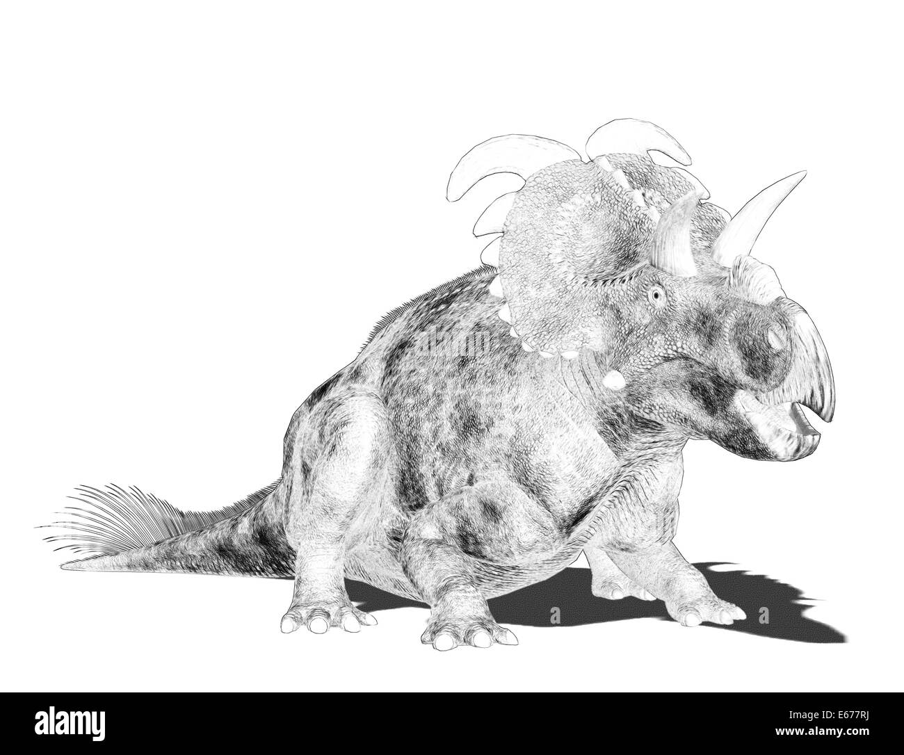 Dinosaur Dinosaurier Albertaceratops / Albertaceratops Photo Stock - Alamy