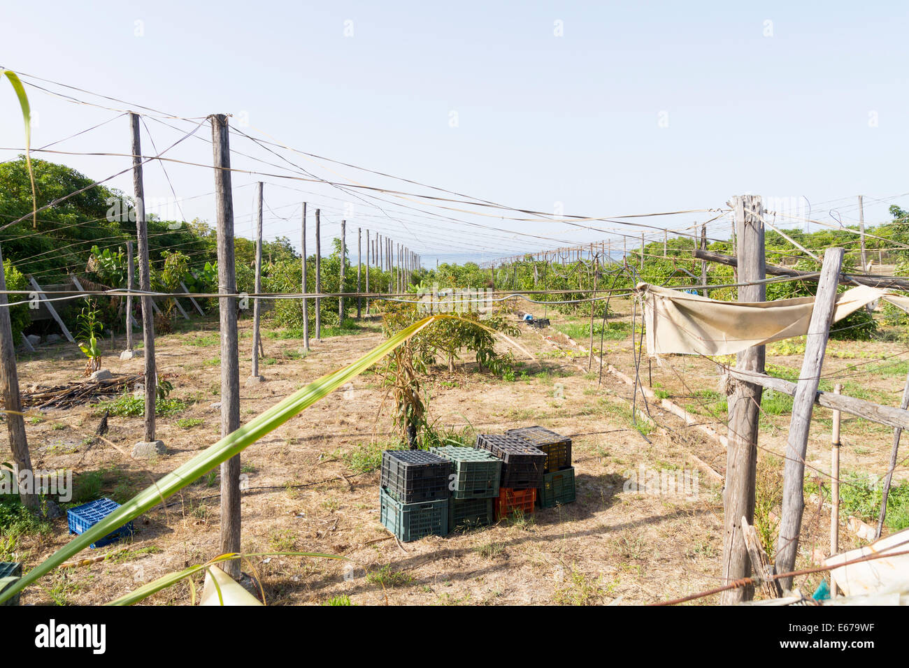 Les petites exploitations agricoles abandonnés le long de la côte de la Costa del Sol en Espagne Nerja Banque D'Images