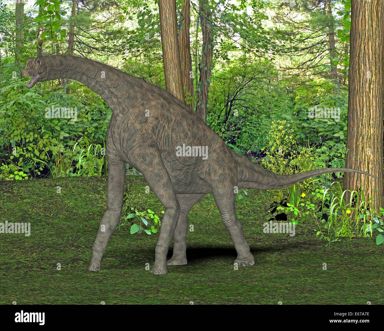 Dinosaur Dinosaurier Atlasaurus / Atlasaurus Banque D'Images