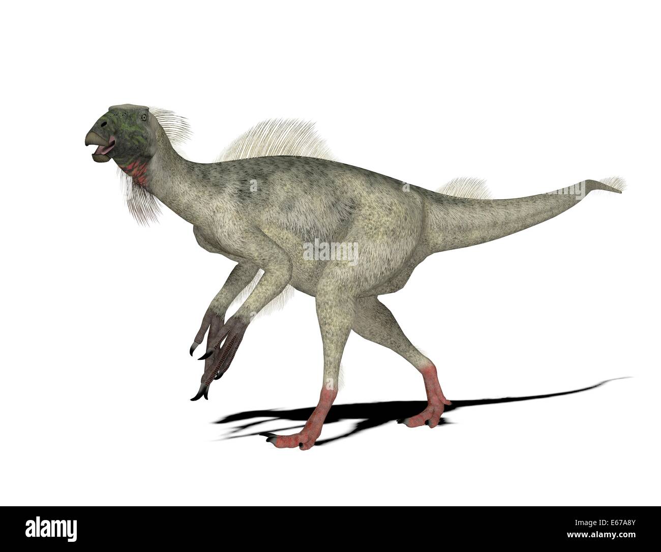 Dinosaur Dinosaurier Beipiaosaurus / Beipiaosaurus Banque D'Images