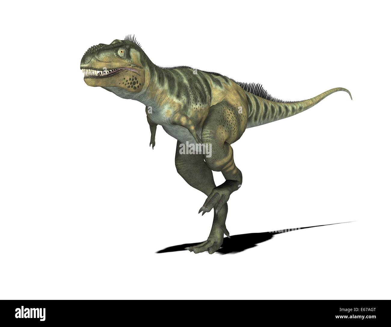 Bistahieversor Bistahieversor dinosaur Dinosaurier / Banque D'Images
