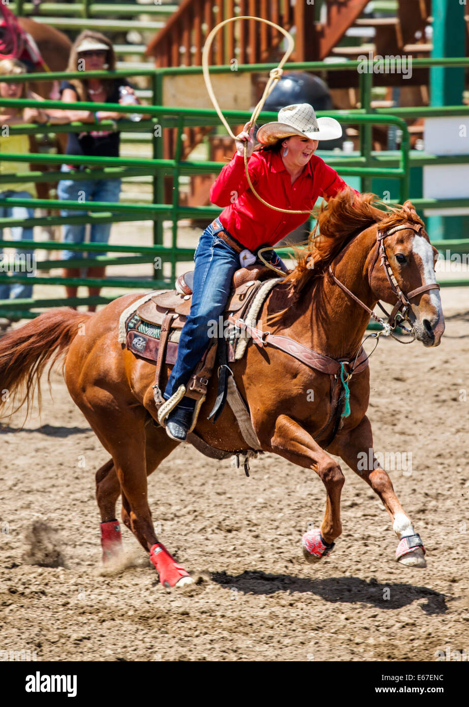 Cowgirl à cheval en concurrence dans le dispositif de retenue de l'événement au lasso, Chaffee County Fair & Rodeo Banque D'Images