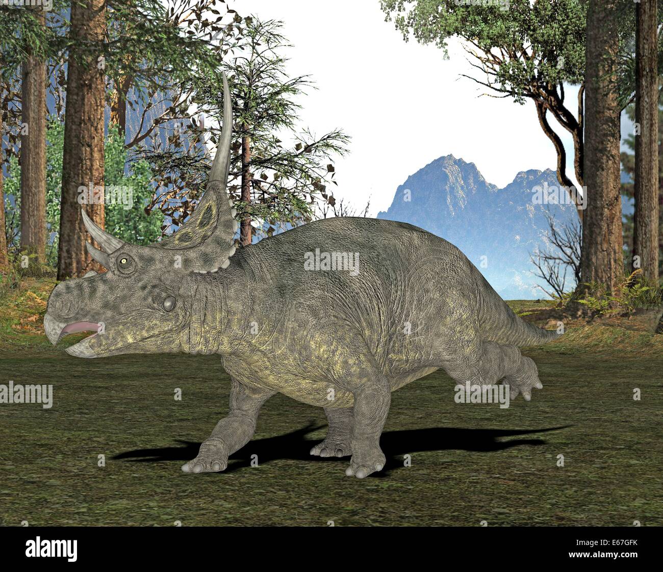 Diabloceratops Diabloceratops dinosaur Dinosaurier / Banque D'Images
