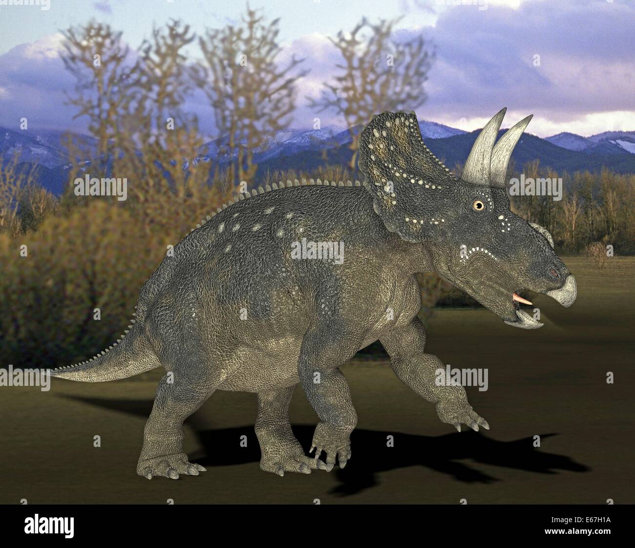 Dinosaur Dinosaurier Nedoceratops / Nedoceratops Banque D'Images