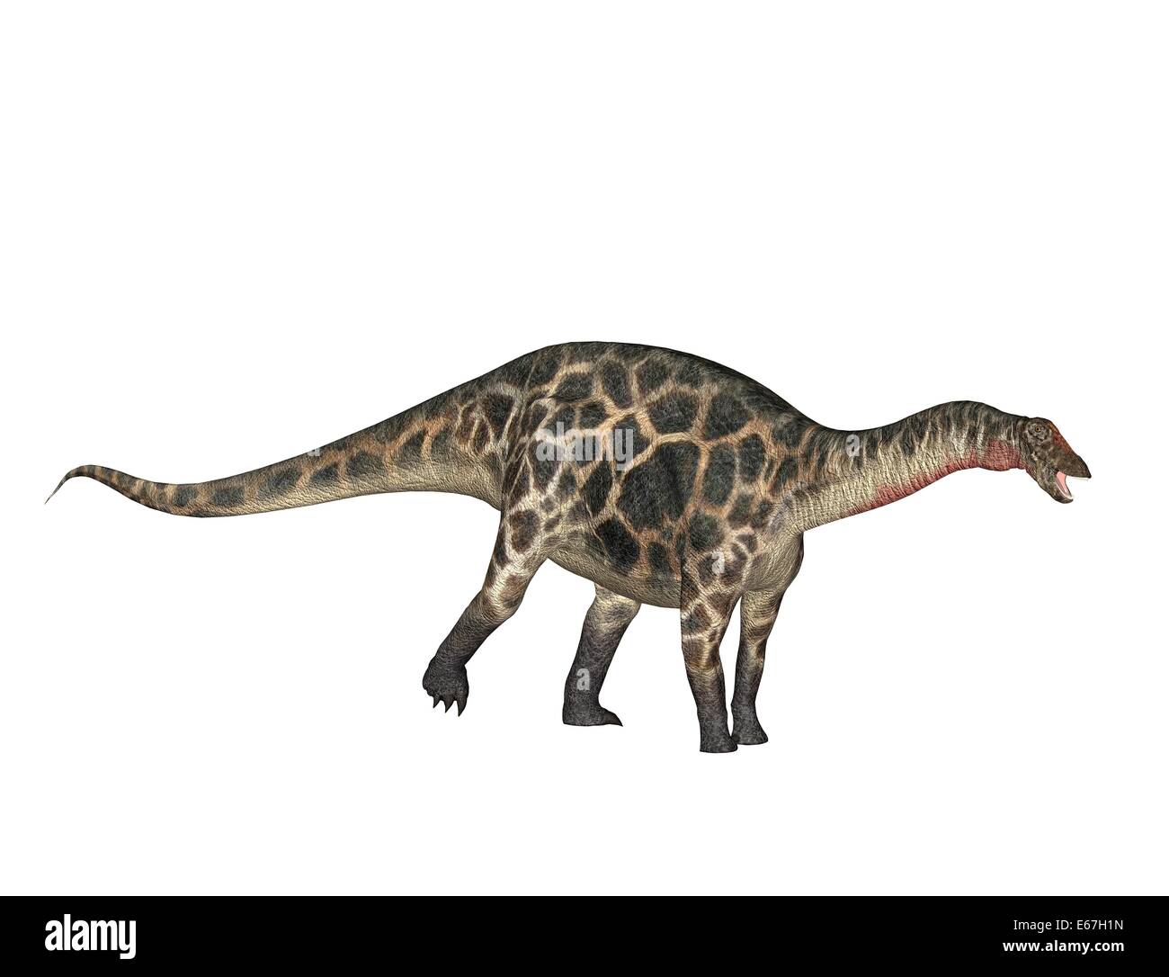 Dicraeosaurus Dicraeosaurus dinosaur Dinosaurier / Banque D'Images