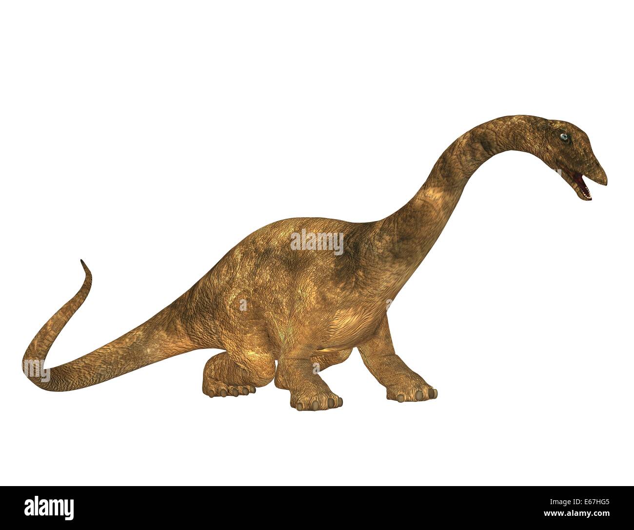 Le Diplodocus Diplodocus dinosaure Dinosaurier / Banque D'Images