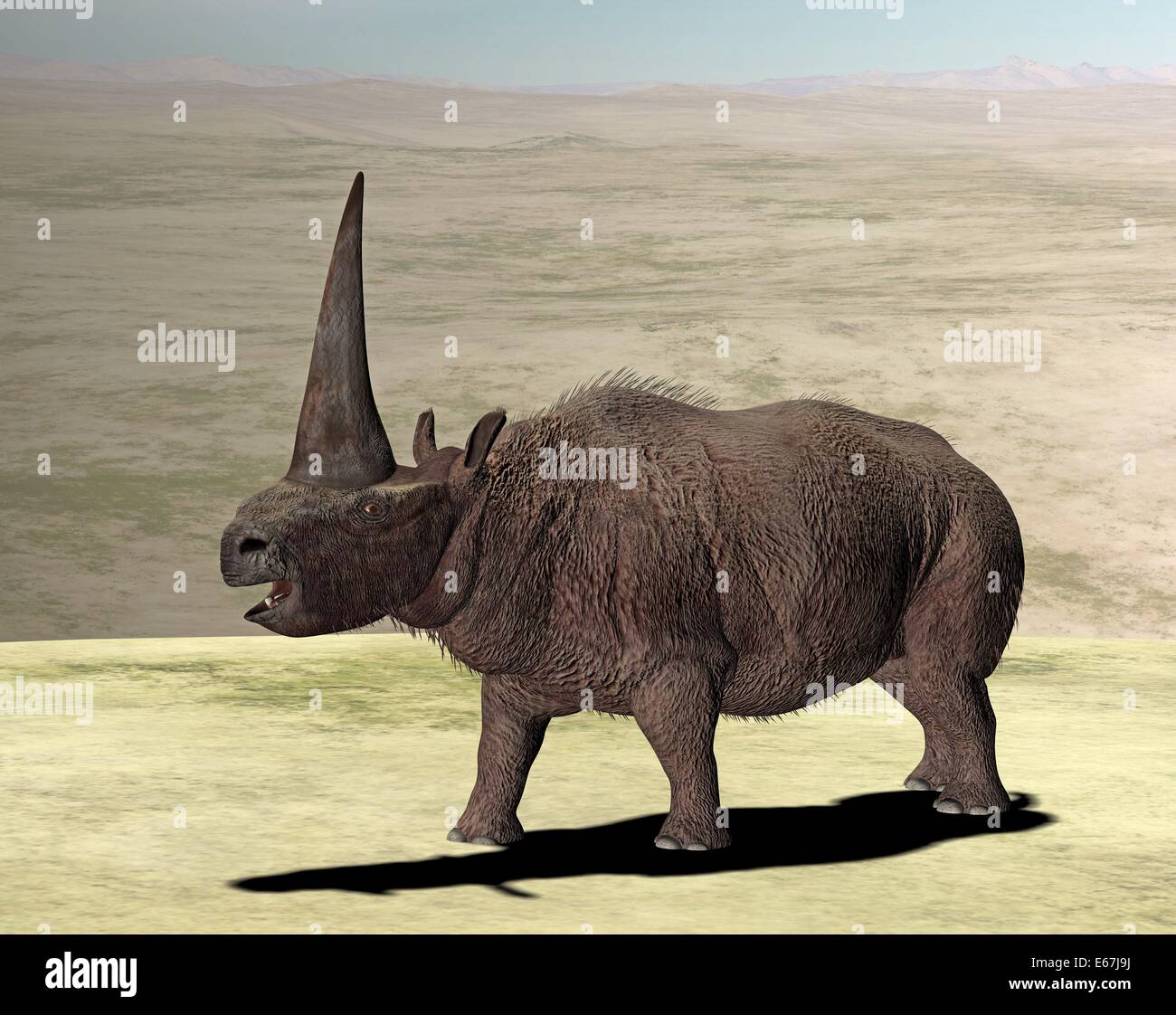 Elasmotherium / Elasmotherium Banque D'Images