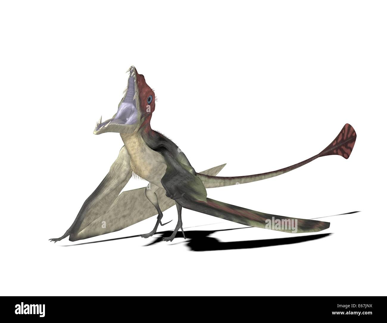 Dinosaure Eudimorphodon Dinosaurier Eudimorphodon / Banque D'Images