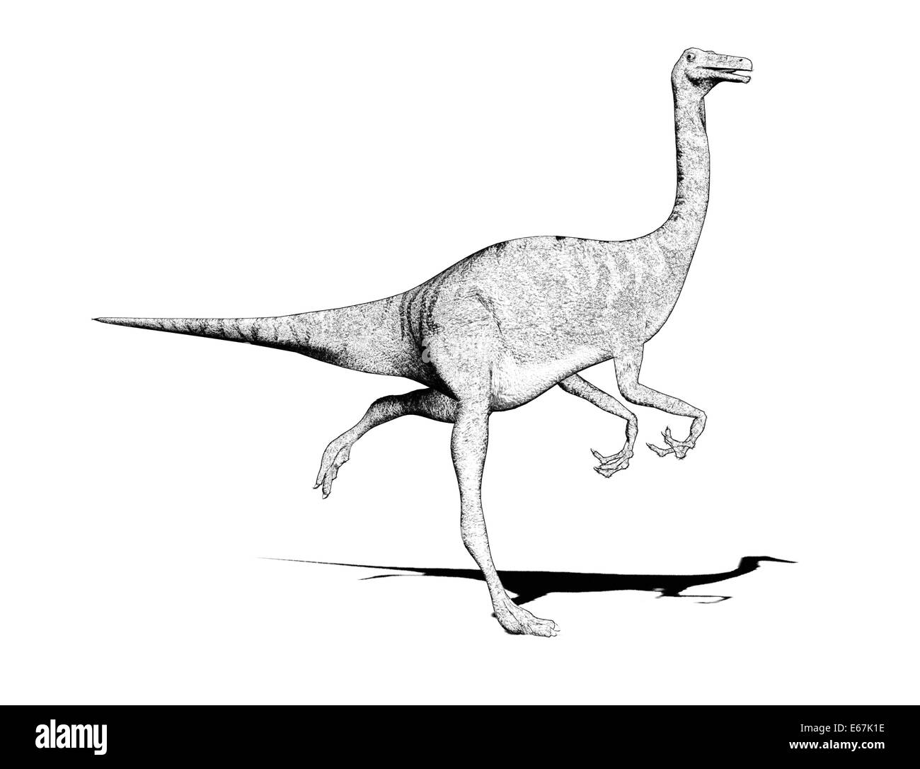Dinosaur Dinosaurier Gallimimus / Gallimimus Banque D'Images