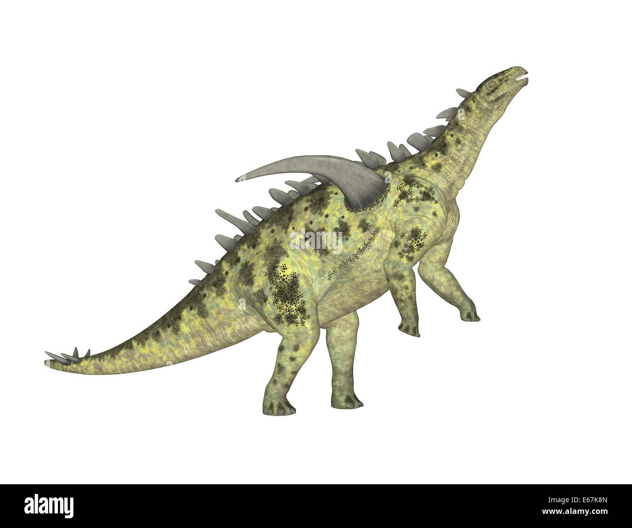Dinosaur Dinosaurier Gigantspinosaurus / Gigantspinosaurus Banque D'Images