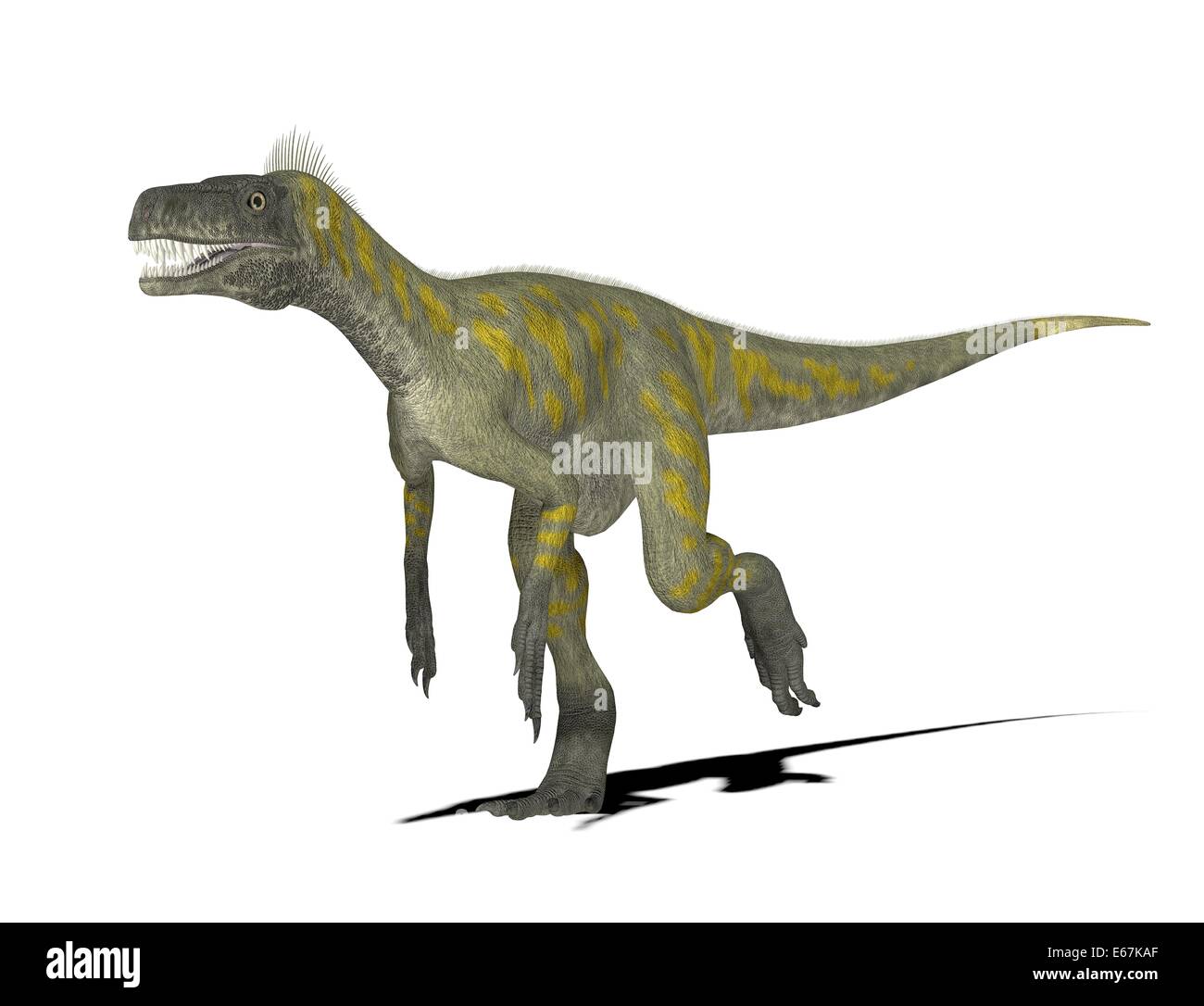Dinosaure Herrerasaurus Herrerasaurus Dinosaurier / Banque D'Images