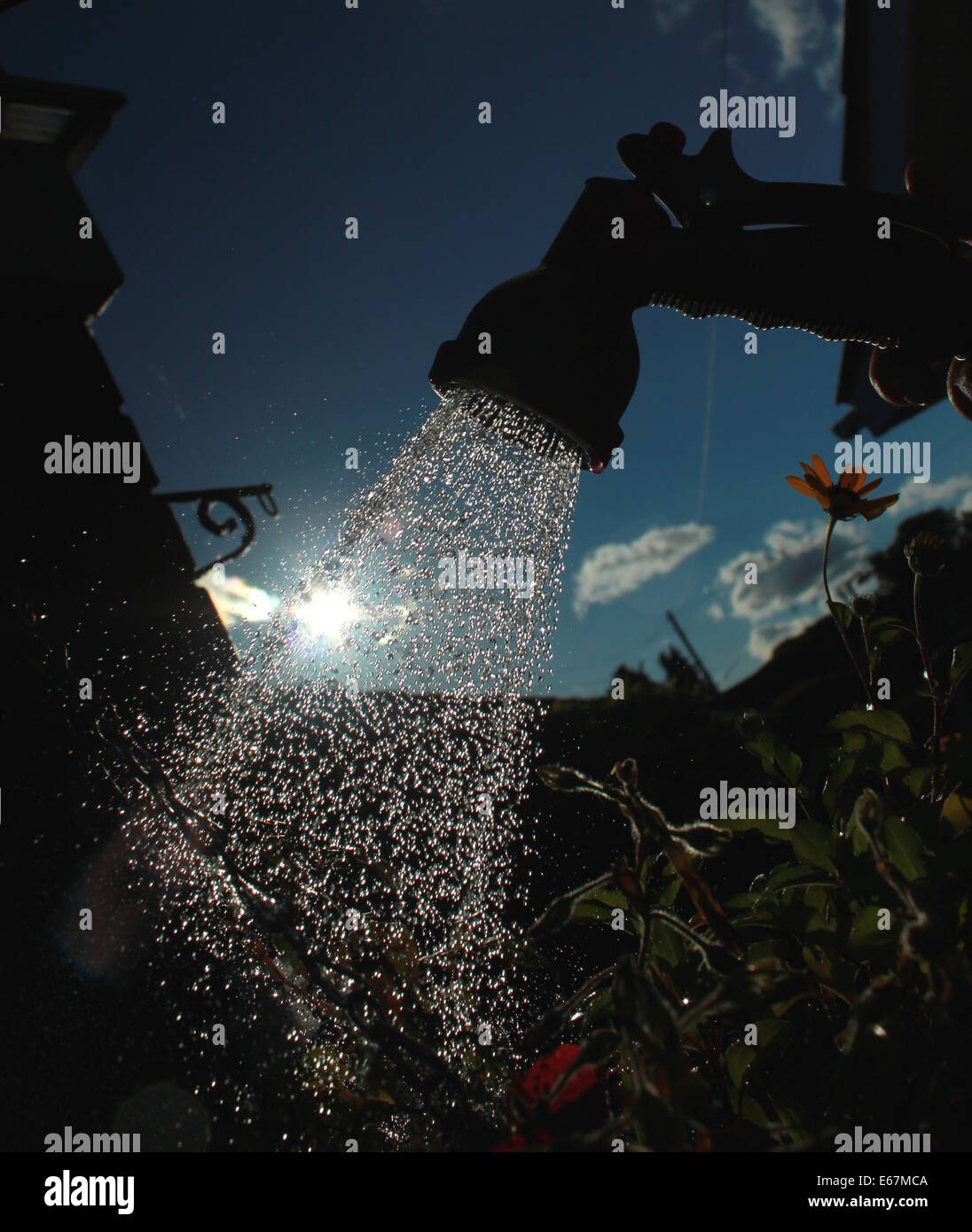 Suspension d'arrosage Banque D'Images