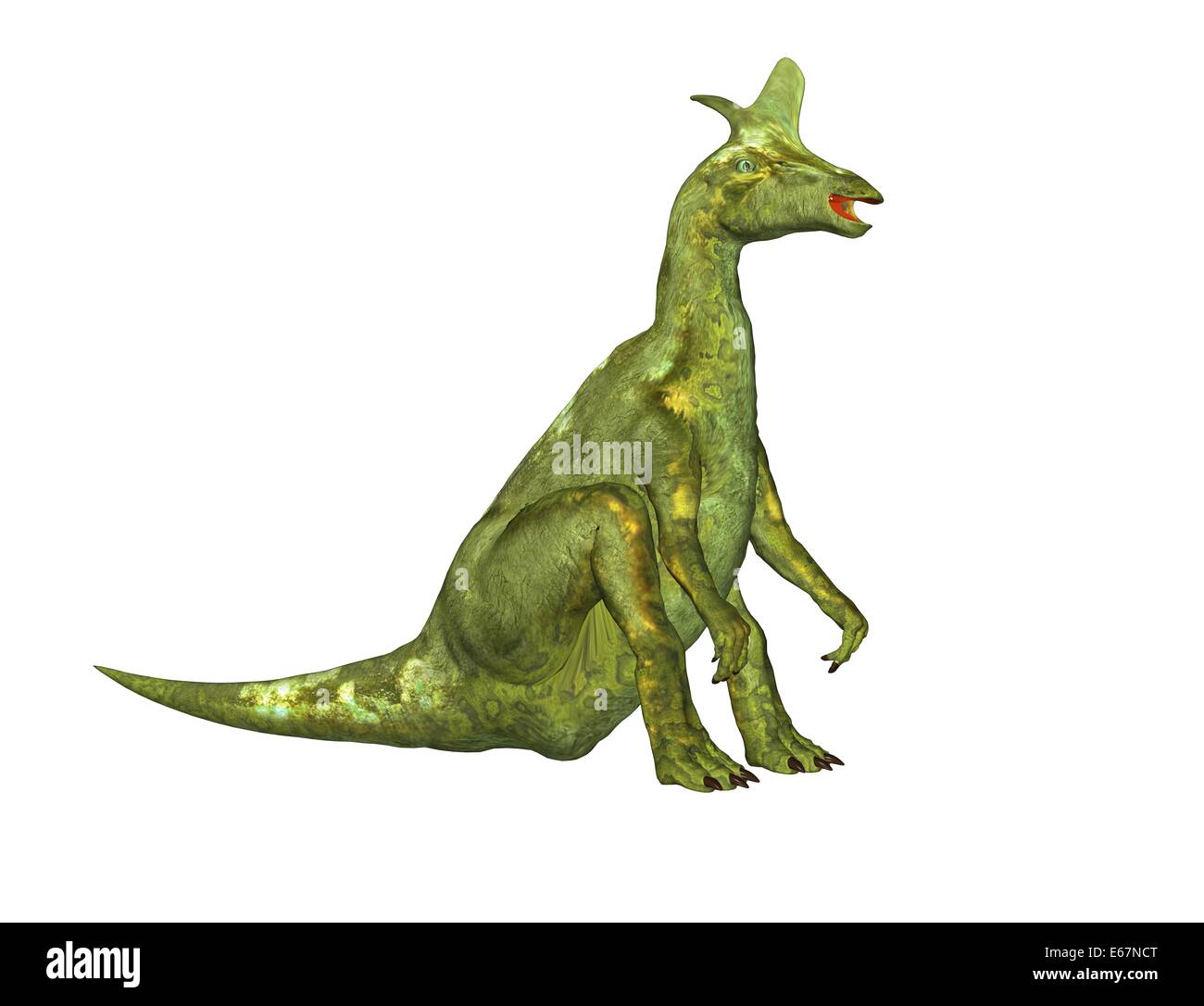 Lambeosaurus dinosaur Dinosaurier / Lambeosaurus Banque D'Images