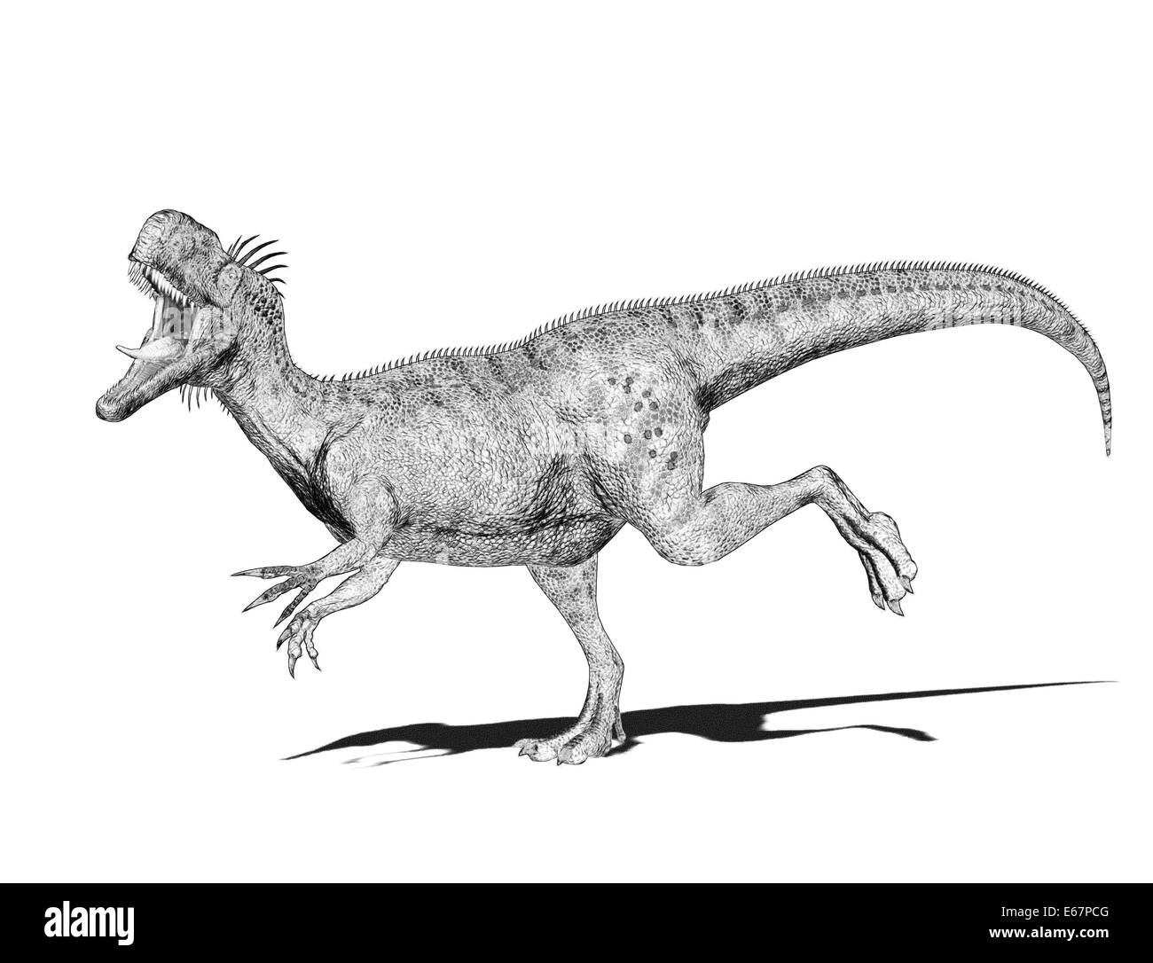 Dinosaure Monolophosaurus Dinosaurier Monolophosaurus / Banque D'Images