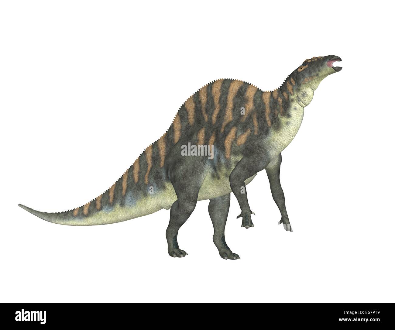 Ouranosaurus Ouranosaurus dinosaur Dinosaurier / Banque D'Images