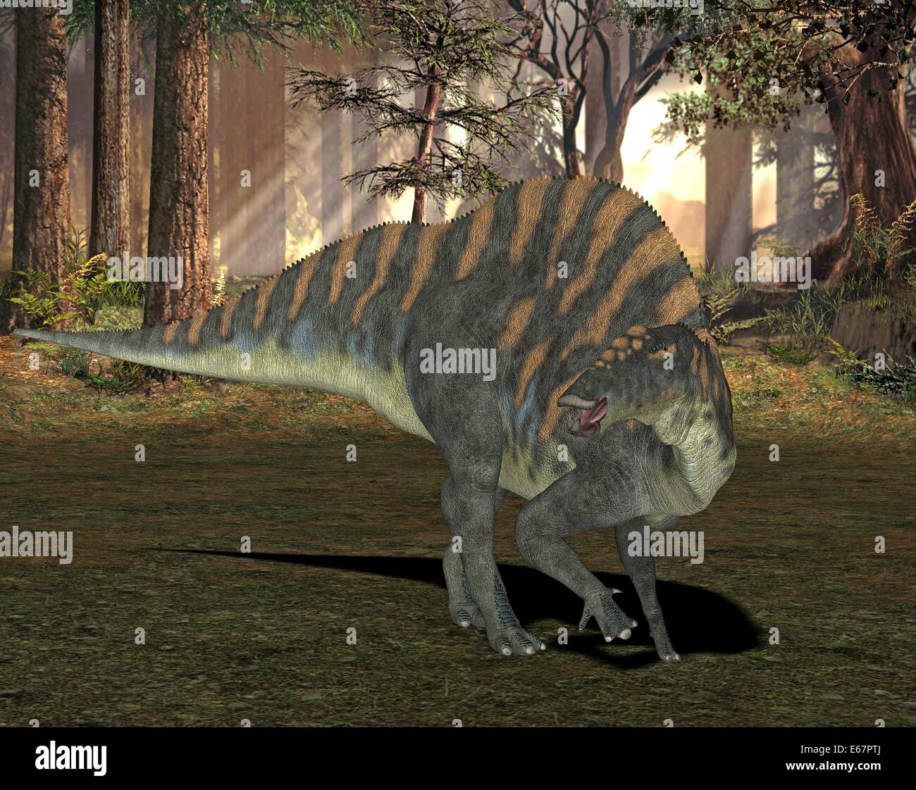 Ouranosaurus Ouranosaurus dinosaur Dinosaurier / Banque D'Images