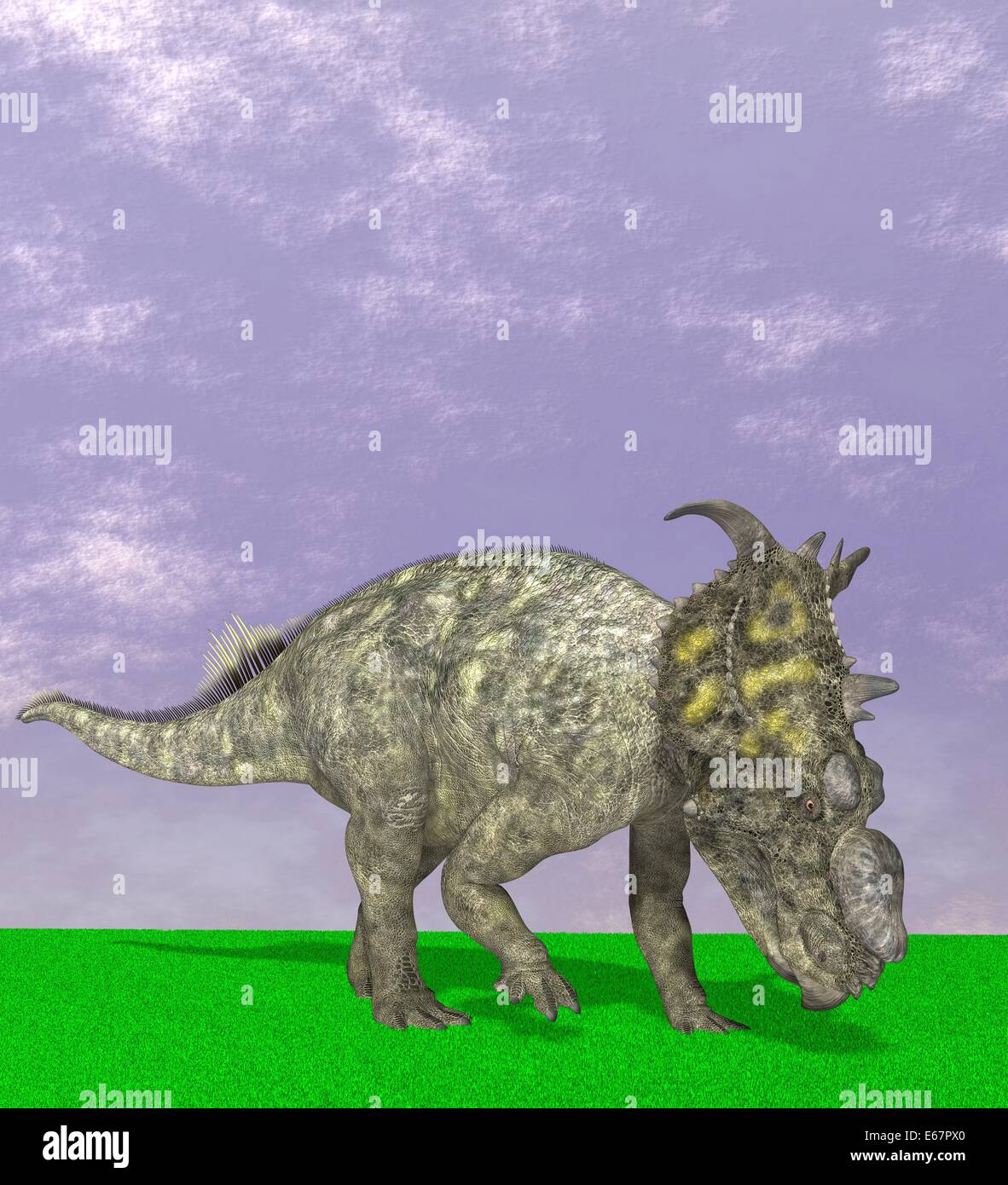 Dinosaure Pachyrhinosaurus Dinosaurier Pachyrhinosaurus / Banque D'Images