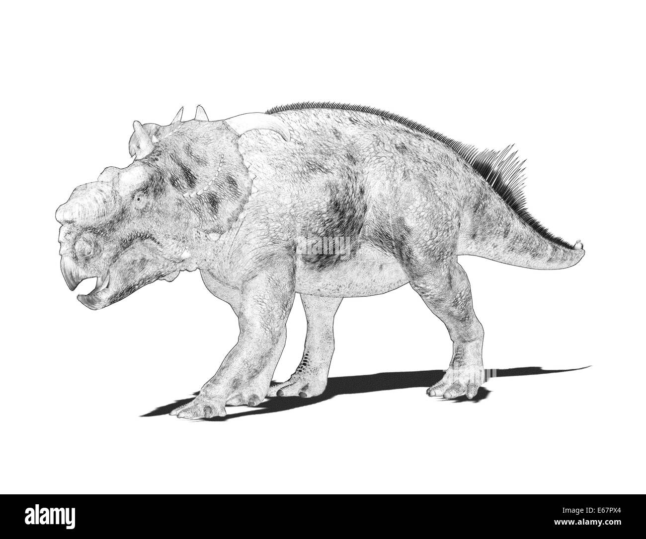 Miniature Dinosaure Pachyrhinosaurus Pour Jeu De Rôle Donjons & Dragons - Neuf