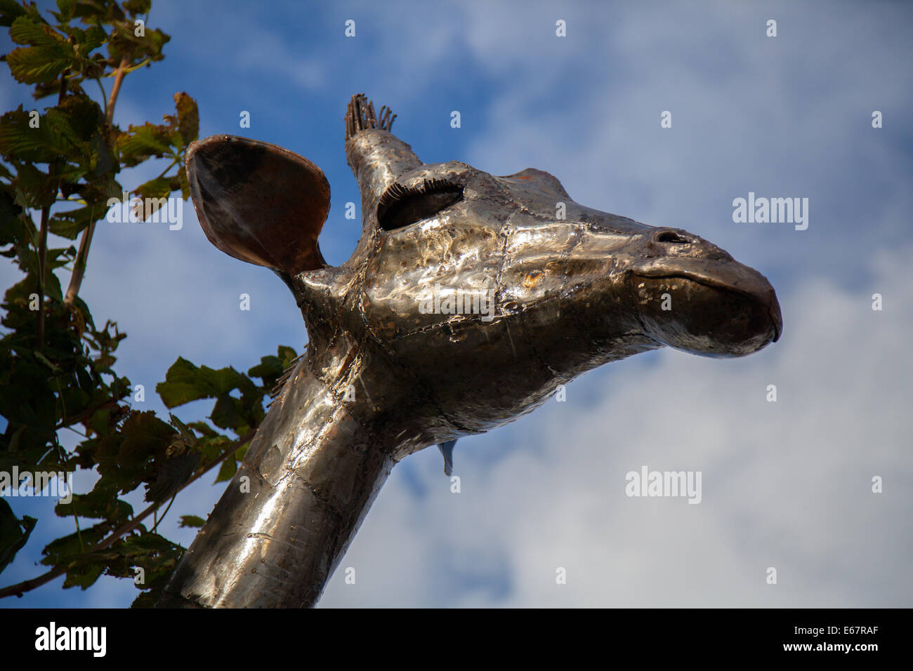 Sculpture sur la faune et la flore animales soudées en métal Art africain, PANGEA Sculptures (Giraffe) faite de métaux recyclés lors du plus grand spectacle de fleurs indépendant de Grande-Bretagne. Banque D'Images