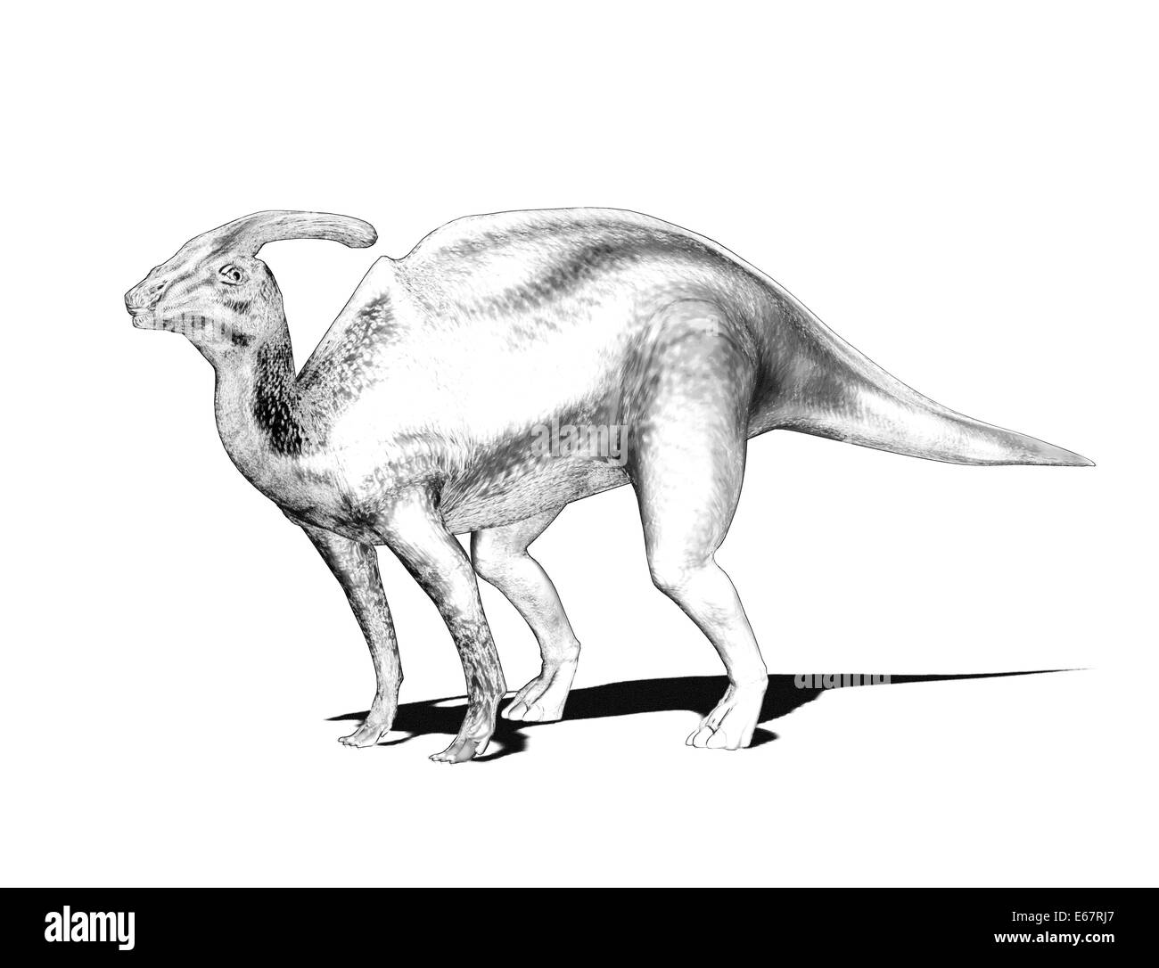 Dinosaure Parasaurolophus Parasaurolophus Dinosaurier / Banque D'Images