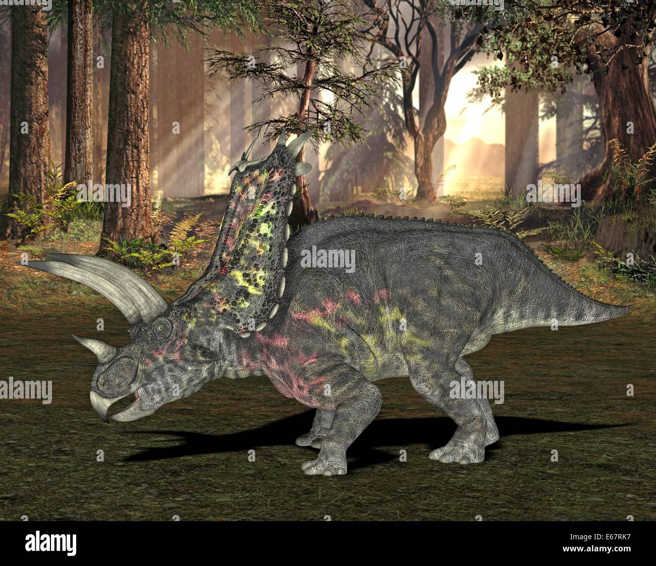 Pentaceratops Dinosaurier / Pentaceratops dinosaure Banque D'Images