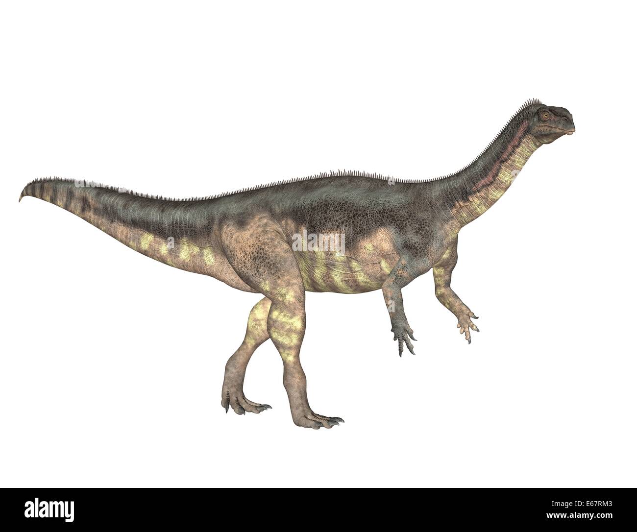 Plateosaurus dinosaure Plateosaurus Dinosaurier / Banque D'Images