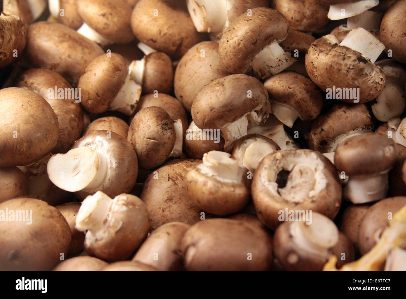 Champignons empilées en vente sur un marché. Banque D'Images