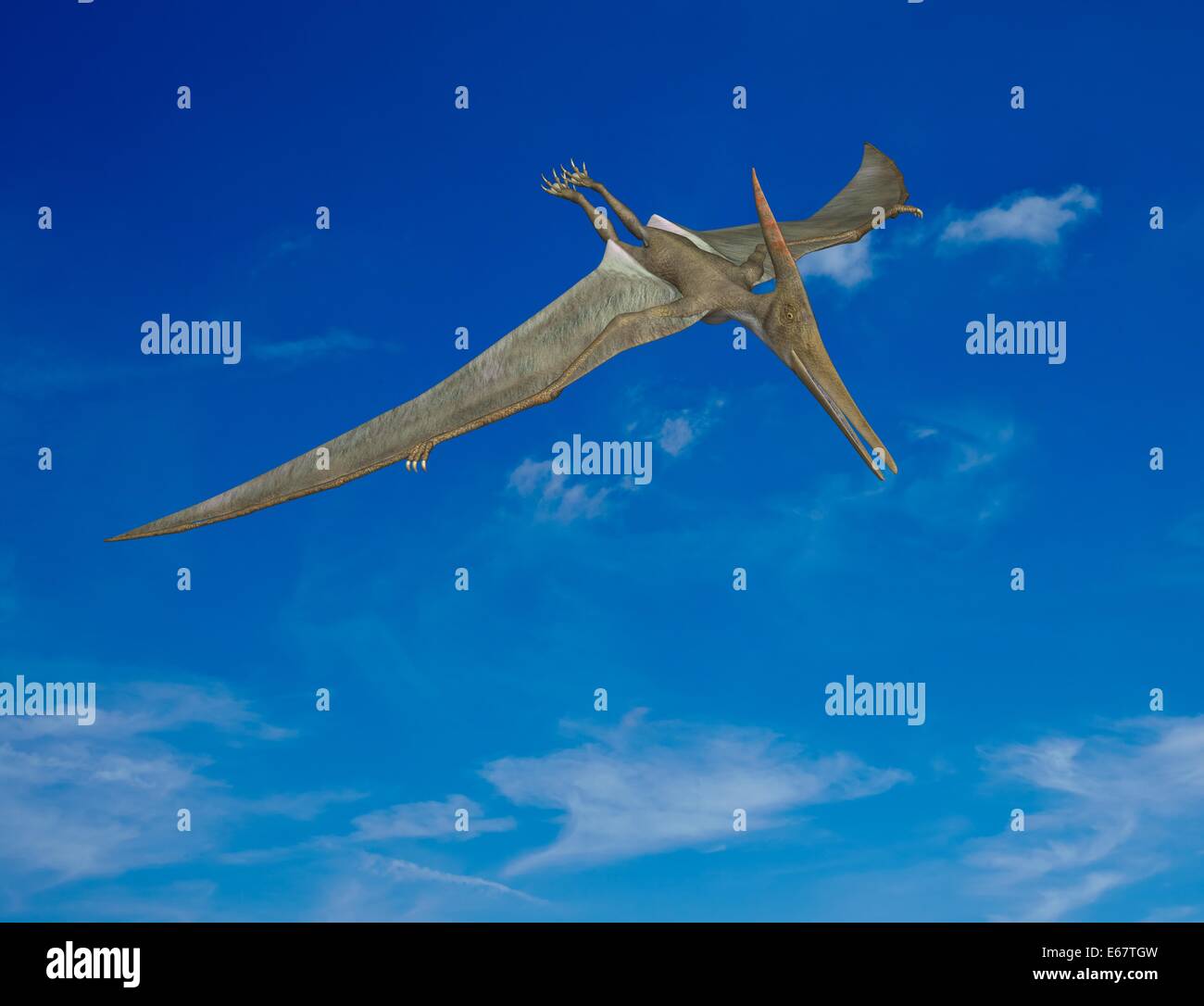 My Image 28