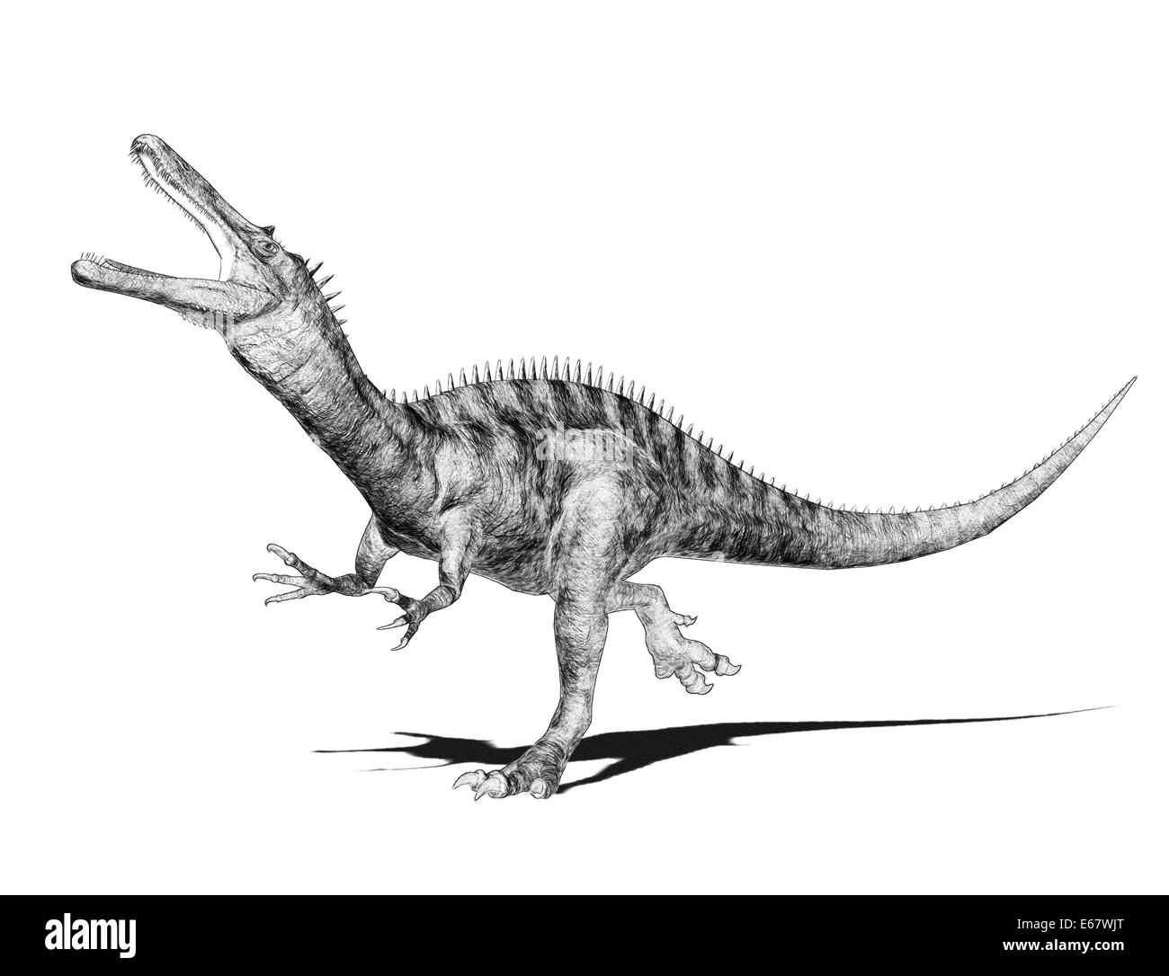 Suchomimus Suchomimus dinosaur Dinosaurier / Banque D'Images