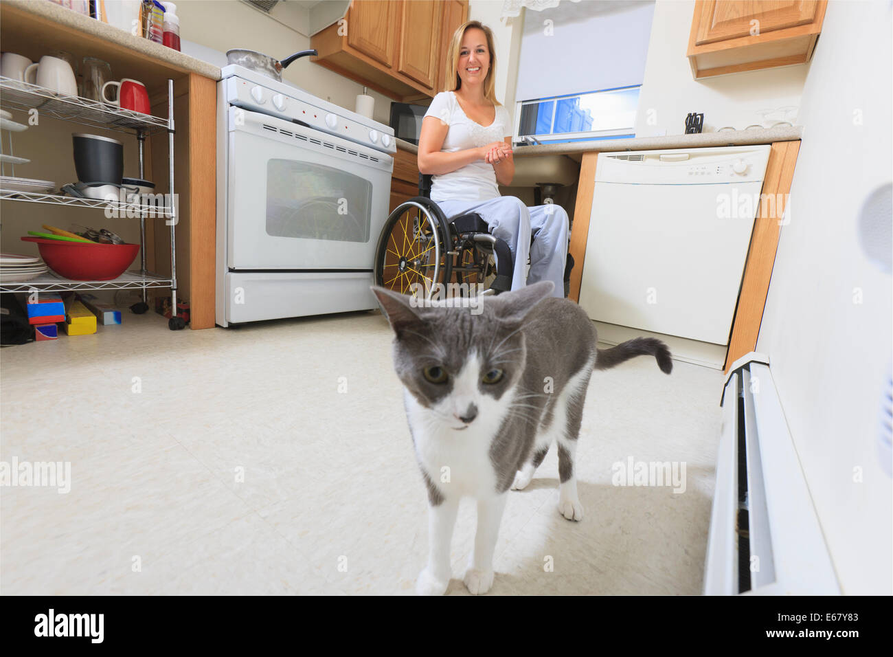 Femme avec de la moelle épinière dans sa cuisine accessible à la recherche à un chat Banque D'Images