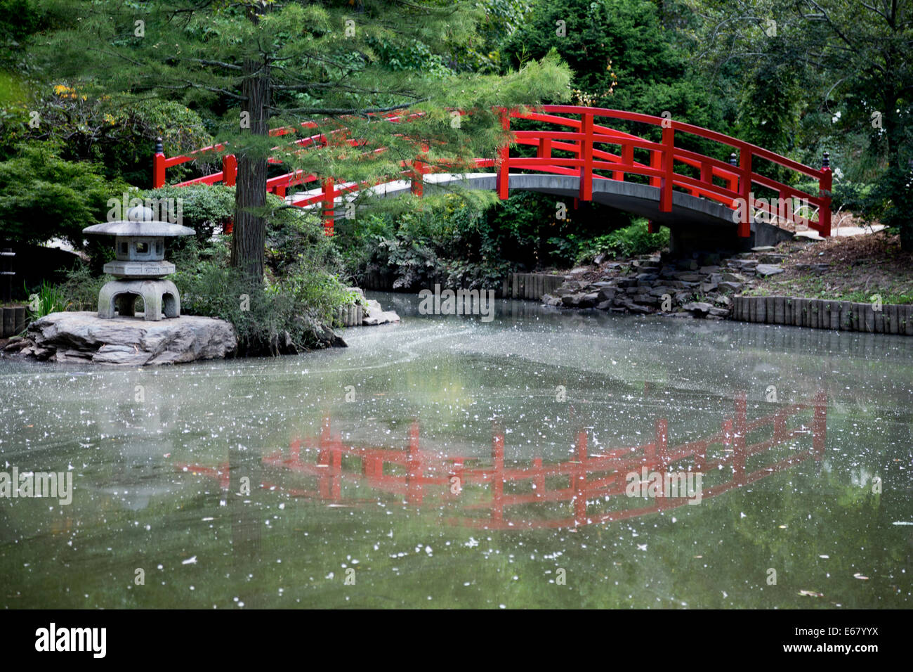 Jardin japonais et l'étang Banque D'Images