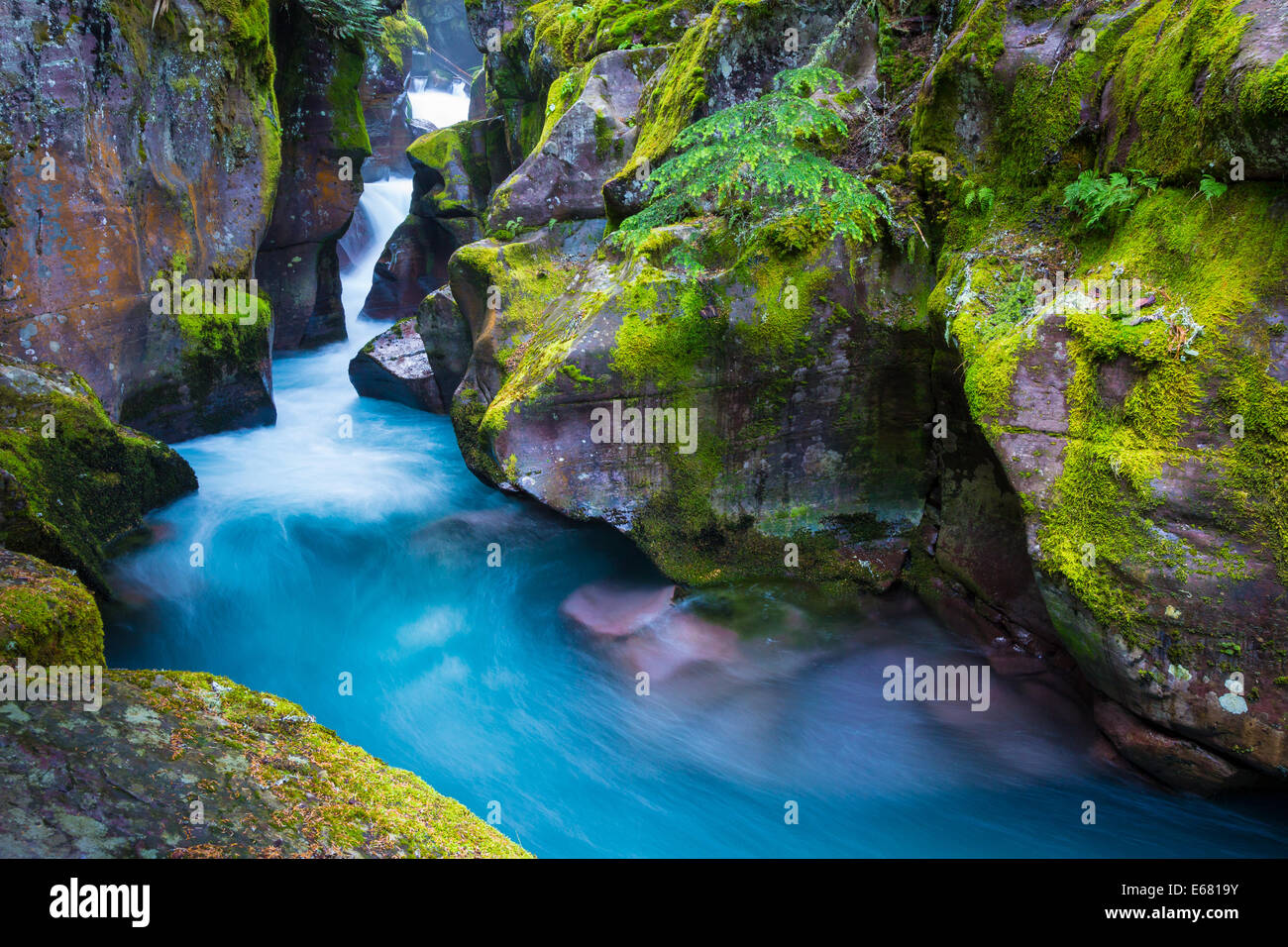 Gorge d'Avalanche Creek dans le parc national des Glaciers, situé dans le Montana, près de la frontière entre les États-Unis et le Canada Banque D'Images