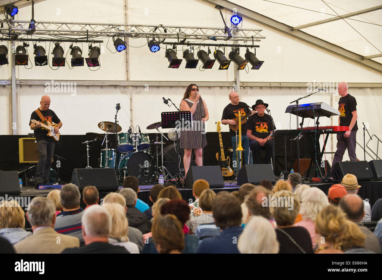 Musique live Mike Harries Médecins racines sur la scène du Festival de Jazz 2014 Brecon Banque D'Images