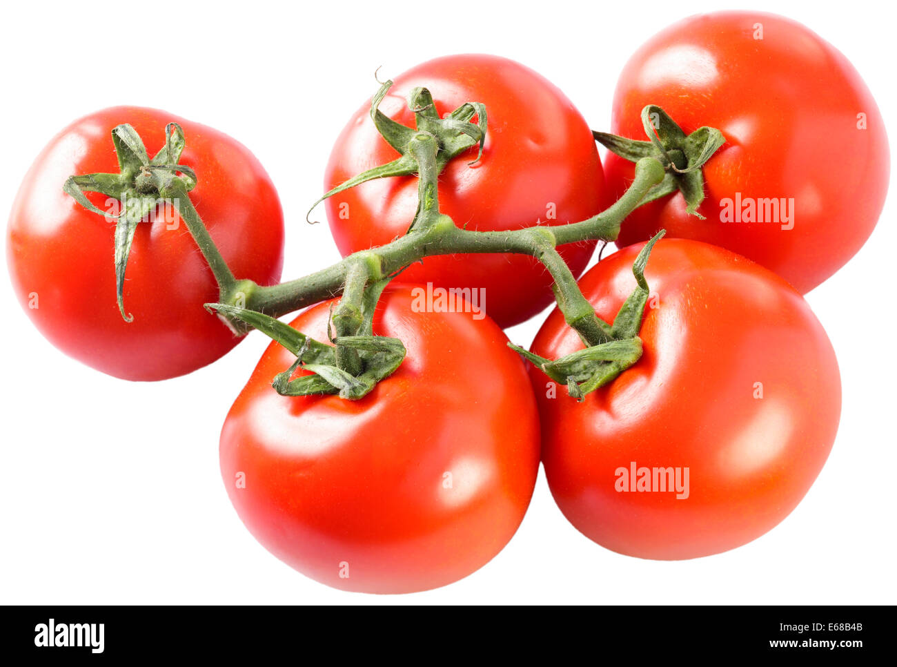 Tomates de vigne Banque D'Images