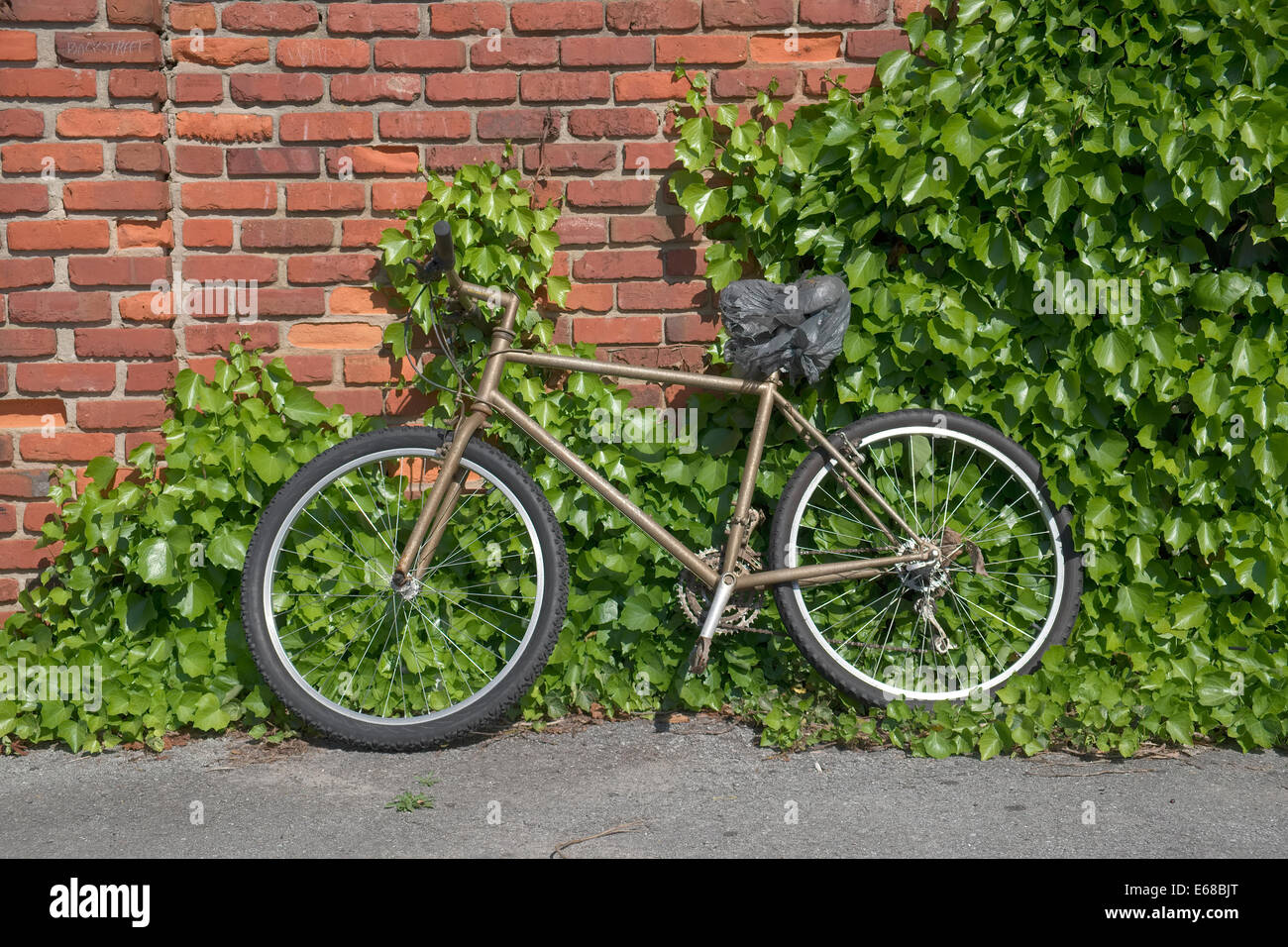 Vieux vélo appuyé contre un mur de briques en vigne en grandissant. Banque D'Images
