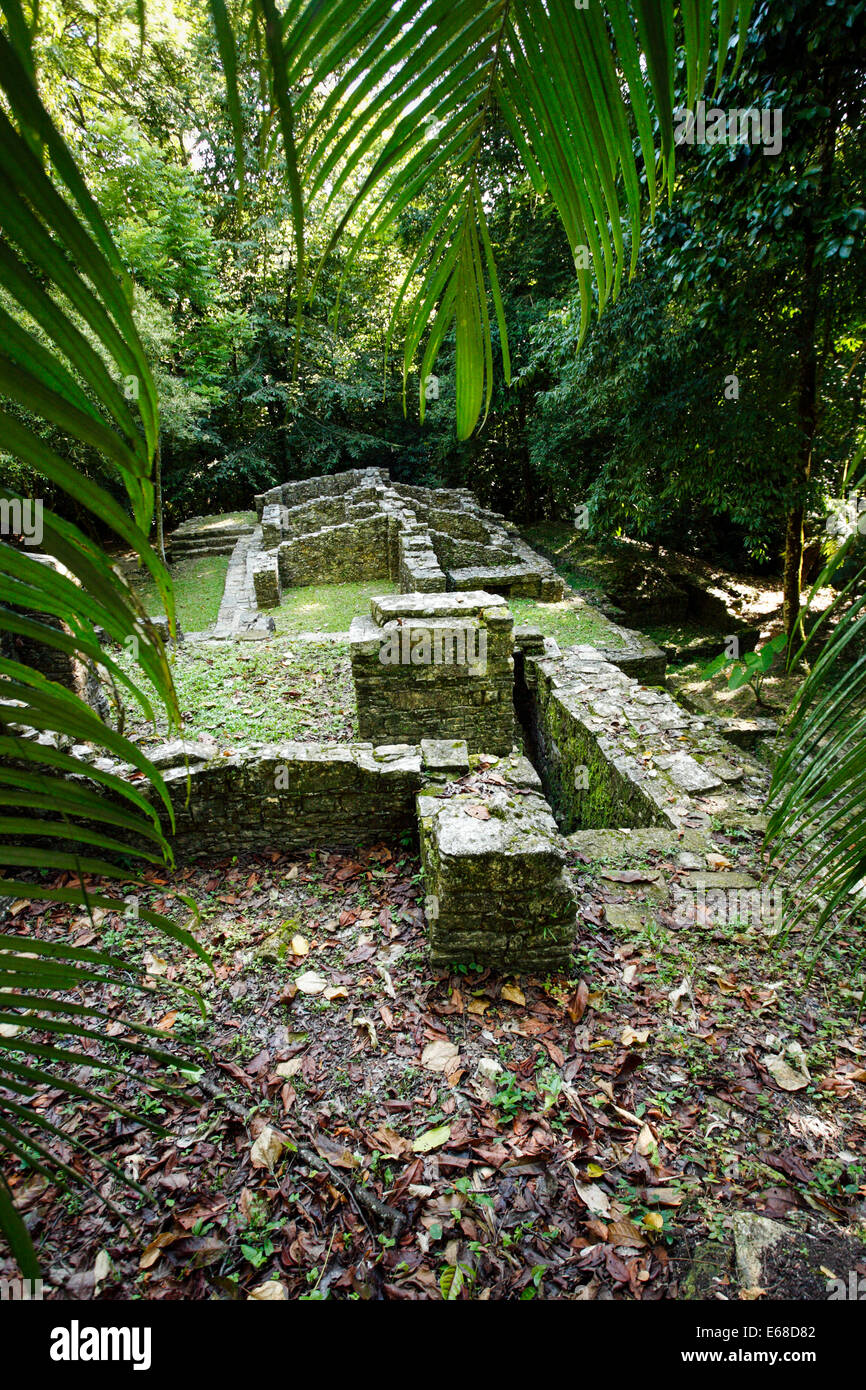 Groupe B dans la jungle à dos les ruines Maya de Palenque, Chiapas, Mexique. Banque D'Images