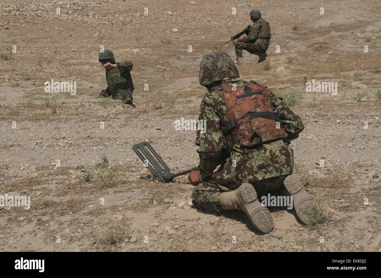 Nangarhar. 18 août, 2014. Les soldats de l'armée afghane pour la recherche d'un engin explosif improvisé (IED) au cours de leur formation dans un camp militaire dans la province de Nangarhar, dans l'Est de l'Afghanistan, le 18 août 2014. Credit : Tahir Safi/Xinhua/Alamy Live News Banque D'Images