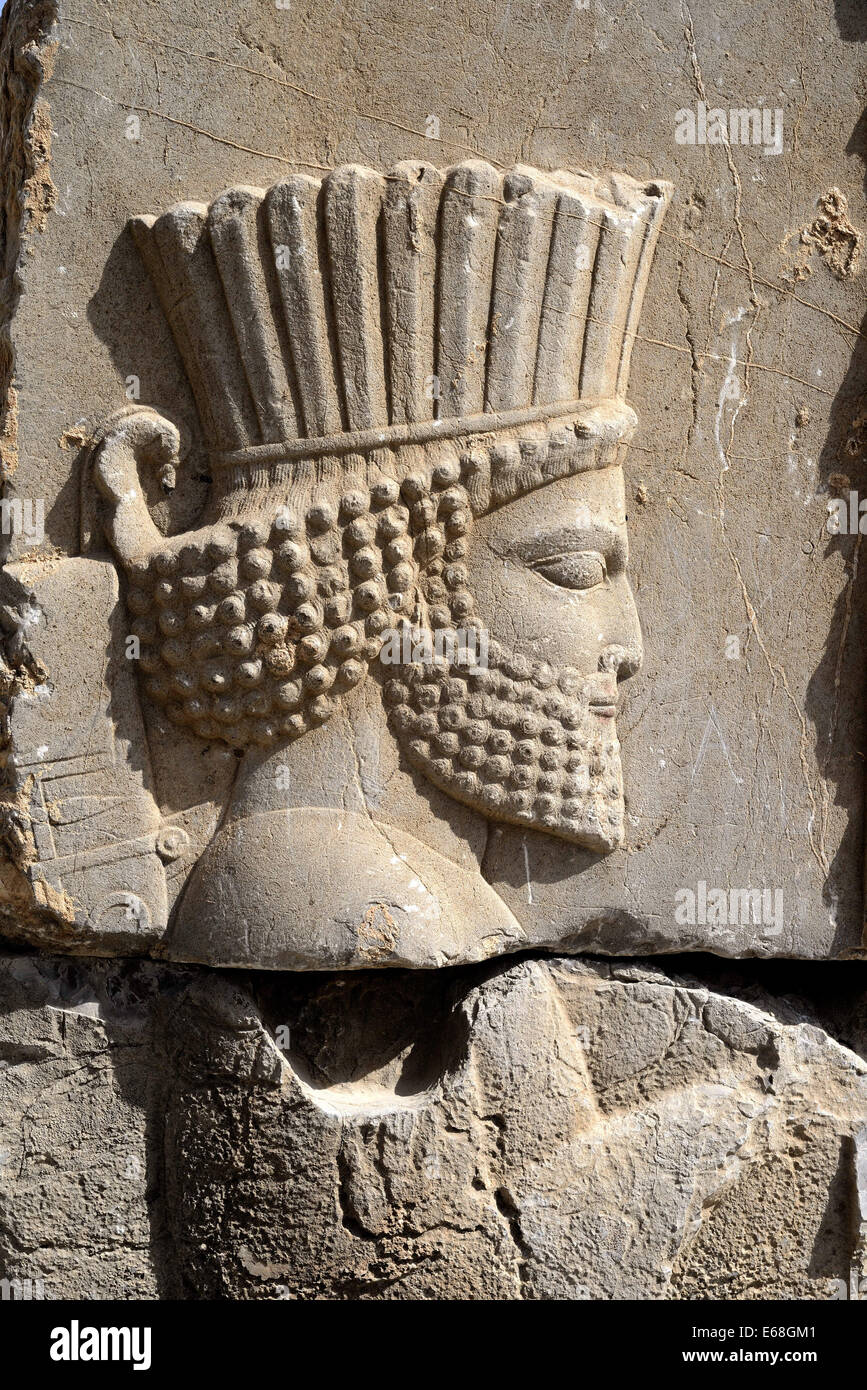 L'Iran, Fars, bas-relief d'un Persan garde. Palais Apadana, Persépolis,  fondée par Darius le Grand (522-486 avant J.C Photo Stock - Alamy