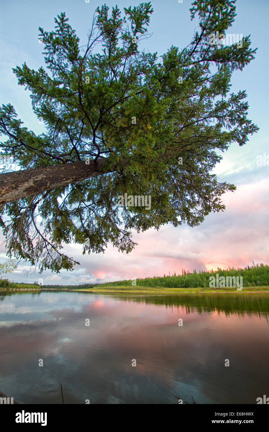 Nature de la Sibérie et le Yamal Banque D'Images