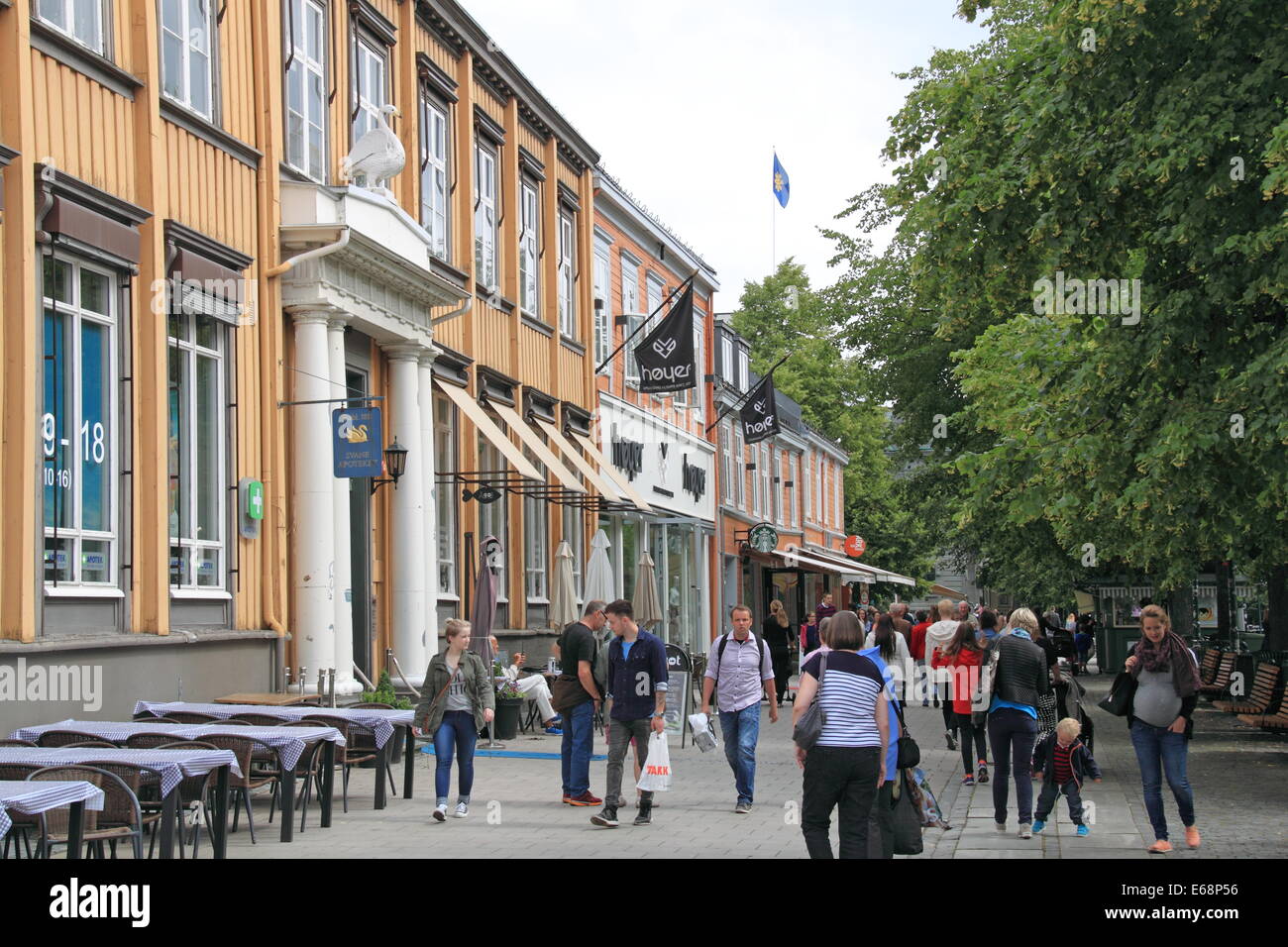 Svane Apoteket Swan (pharmacie) et Høyer shop, Kongens Gate, Midtbyen, Trondheim, Sør-Trøndelag, Norvège, Scandinavie, Europe Banque D'Images