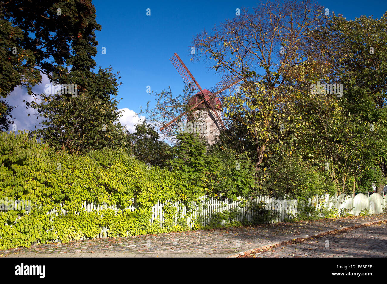 Moulin sur l'île de Saaremaa Banque D'Images