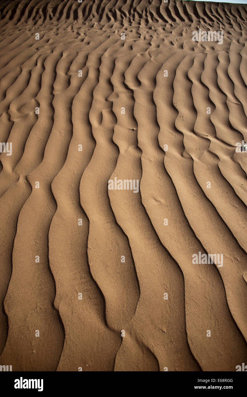 Dunes de sable, désert du Sahara, Maroc Banque D'Images