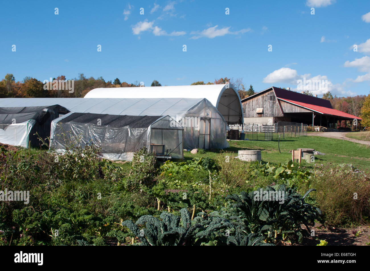 Morgan farms organic agriculture laurentides Québec Canada Banque D'Images