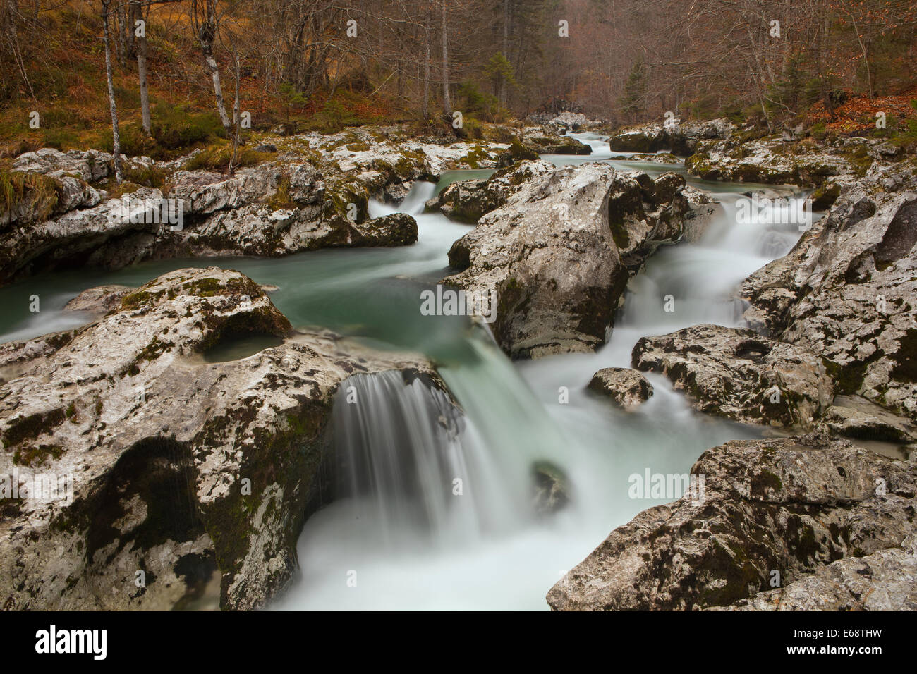 Rivière de la rivière Mostnica, Parc National Triglav, Slovénie, Gorenjska Banque D'Images