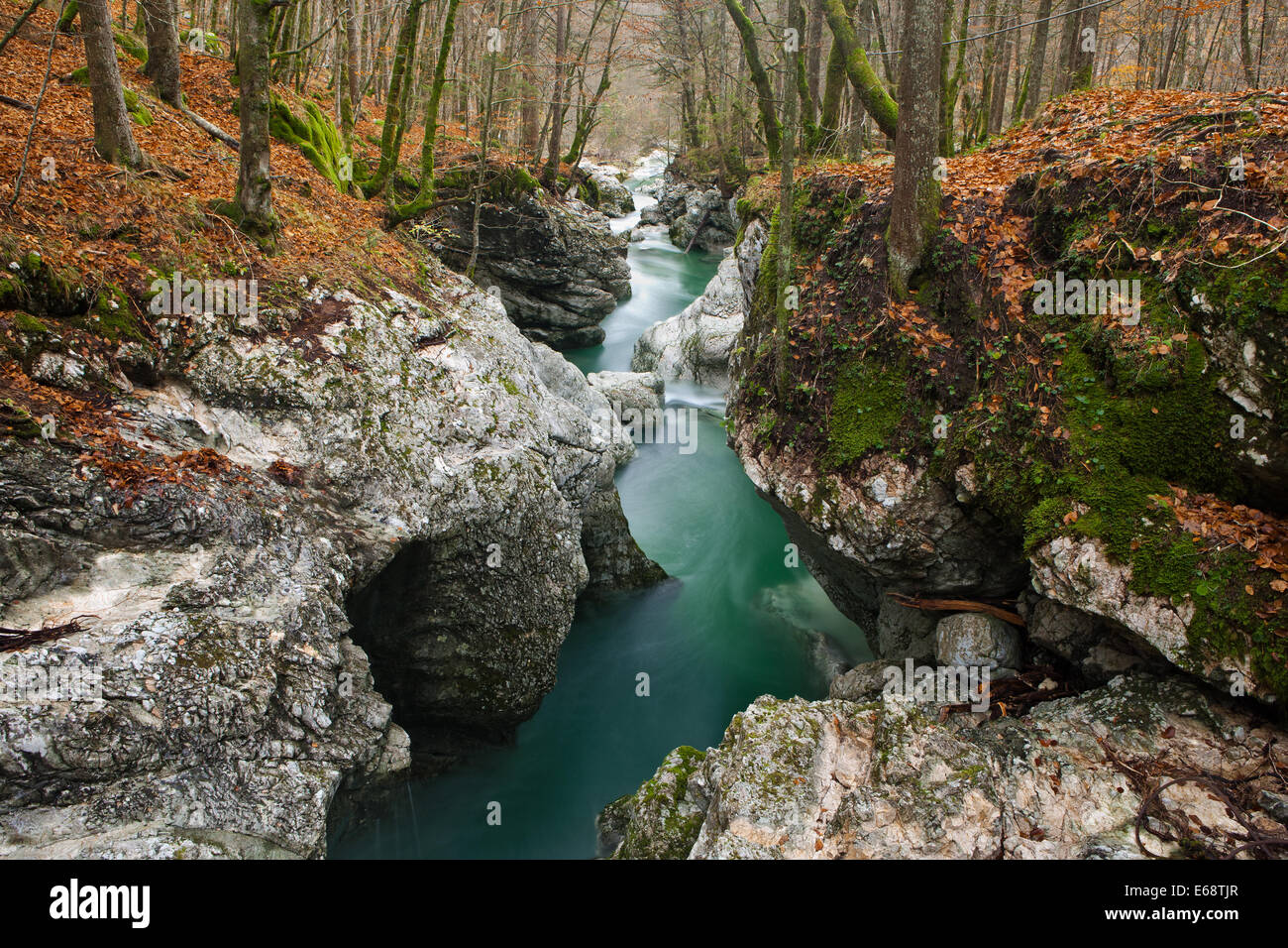 La gorge de la rivière Mostnica, Parc National de Triglav, Slovénie, Gorenjska Banque D'Images
