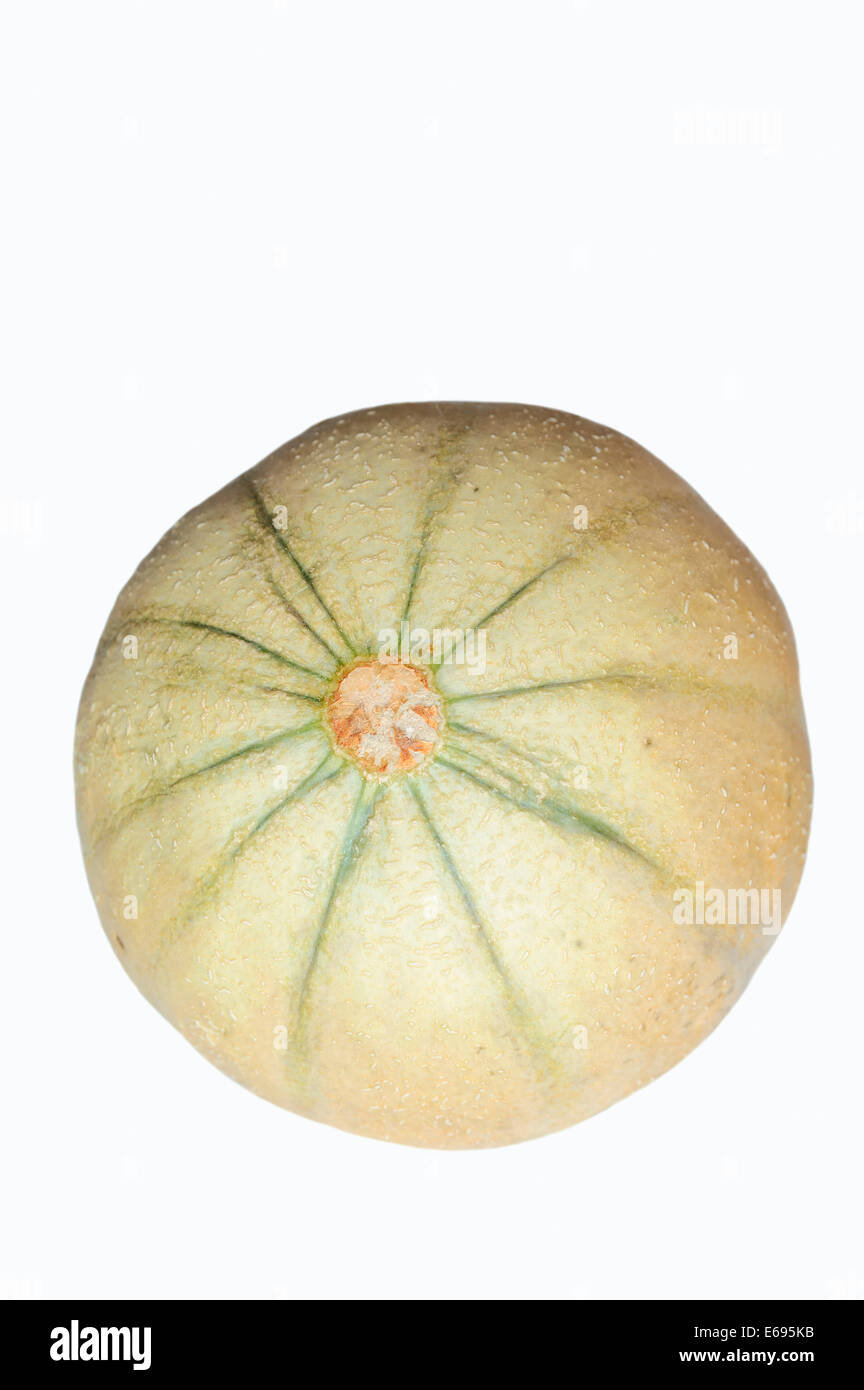 Cantaloup ou melon (Cucumis melo) Banque D'Images