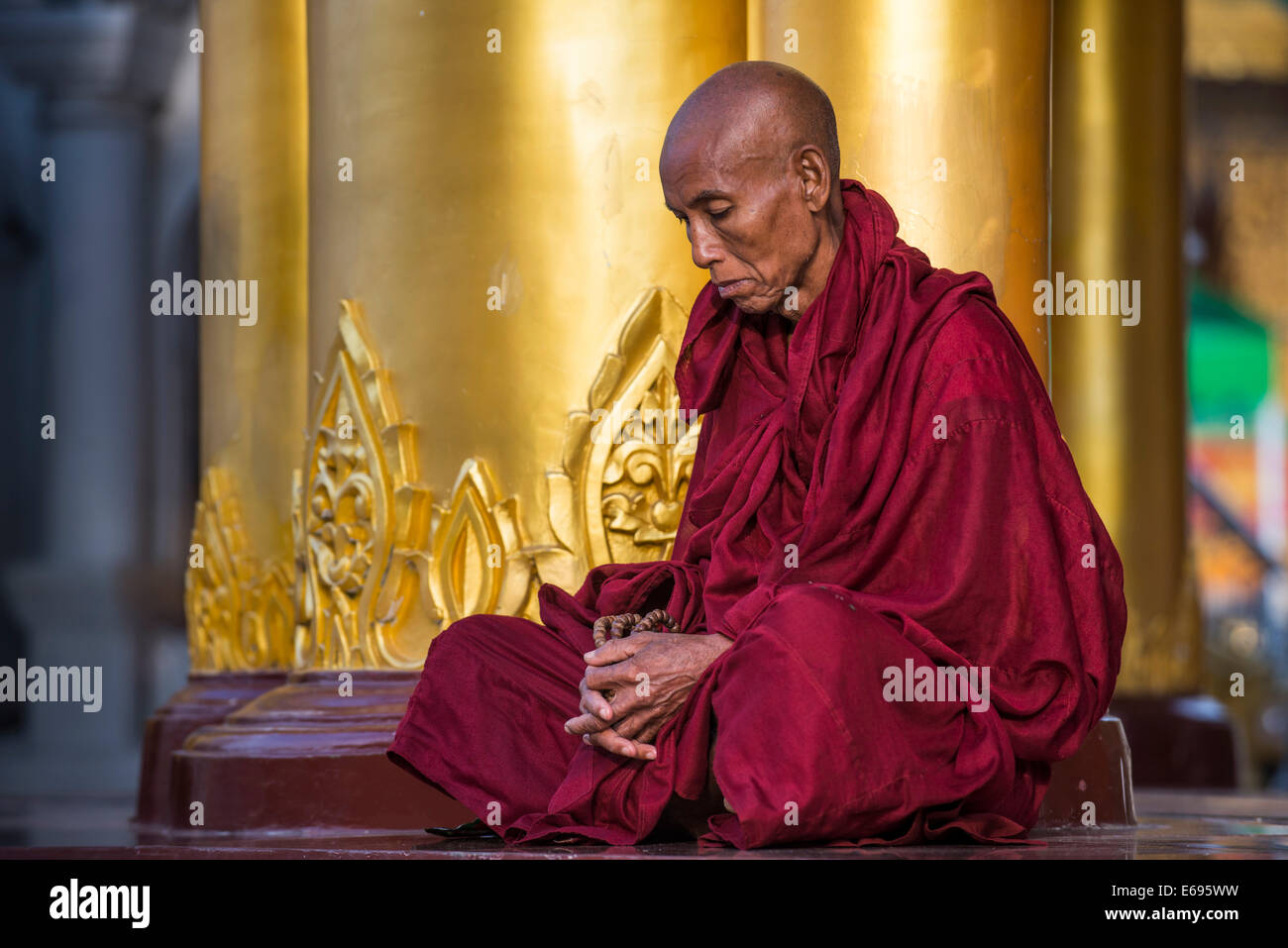 Le moine bouddhiste dans la prière, de la pagode Shwedagon, Colline Singuttara, Yangon, Rangoon ou Yangon, Myanmar Région Banque D'Images