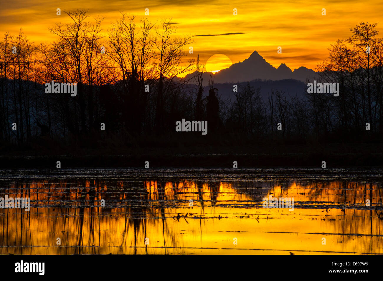 Rizière inondée de soleil, en face du Monte Viso, également Mt Monviso, 3841m, Alpes Cottiennes, Giusti, Vercelli, Piémont, Italie Banque D'Images