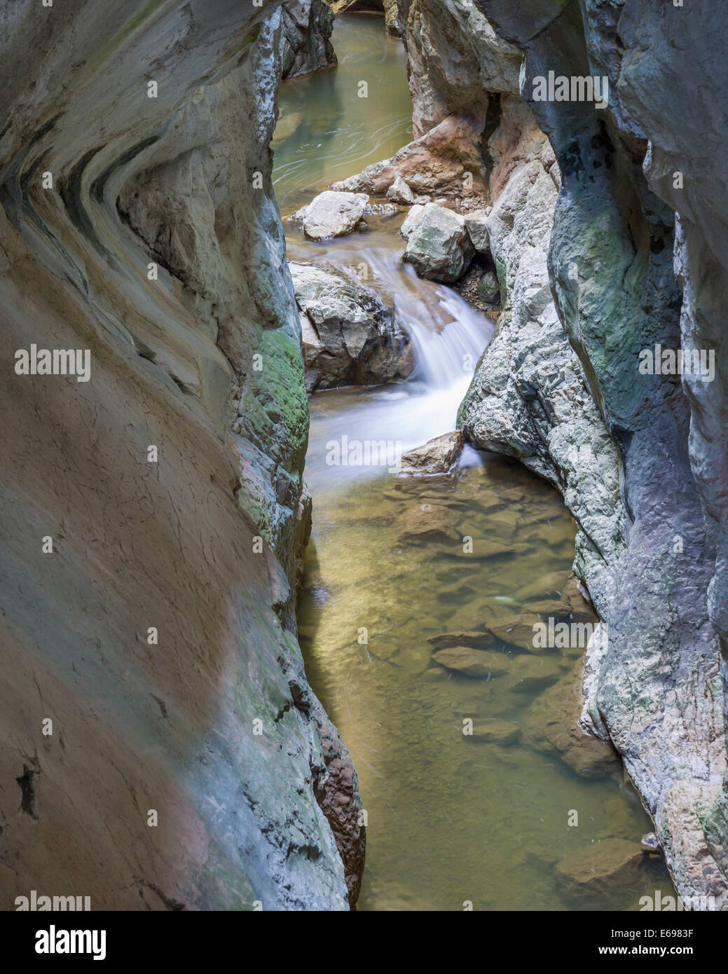 Système de chemin à travers le canyon, La Yecla à Arroyo del cauce, Santo Domingo de Silos, Castille et León, Espagne Banque D'Images