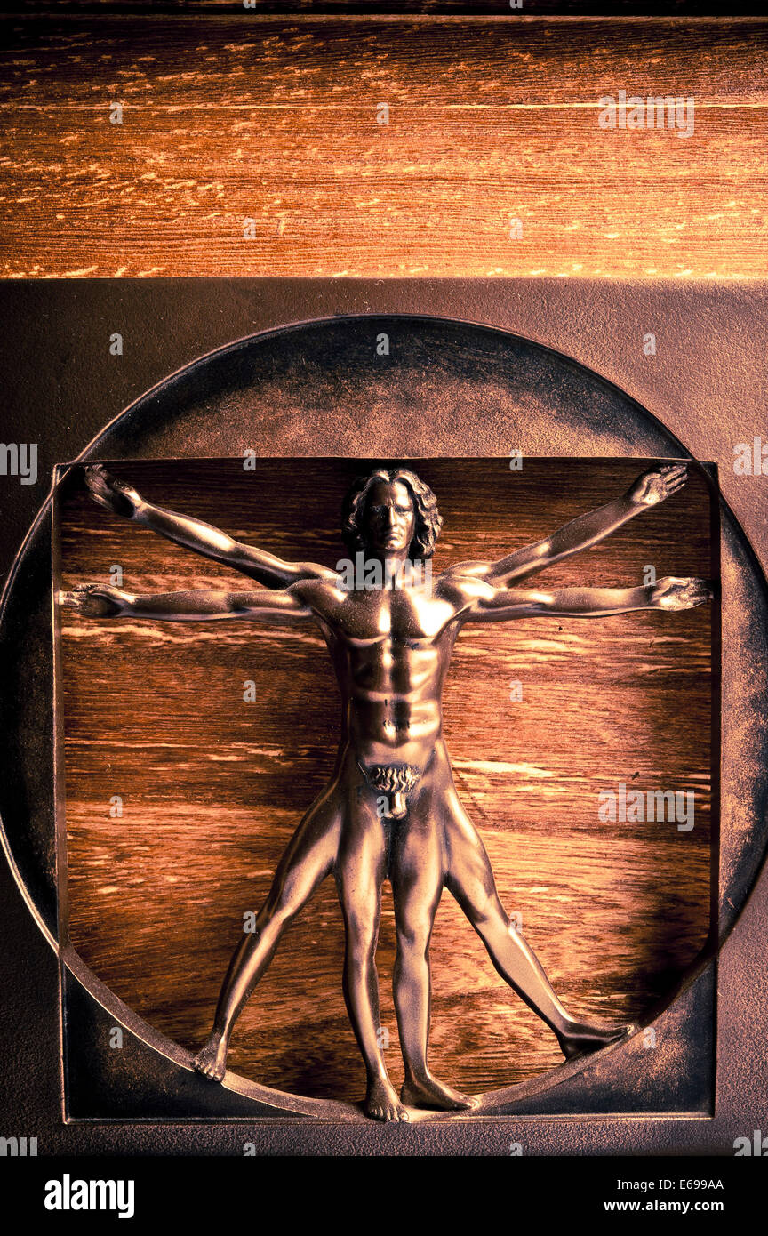 Homme de Vitruve Banque D'Images